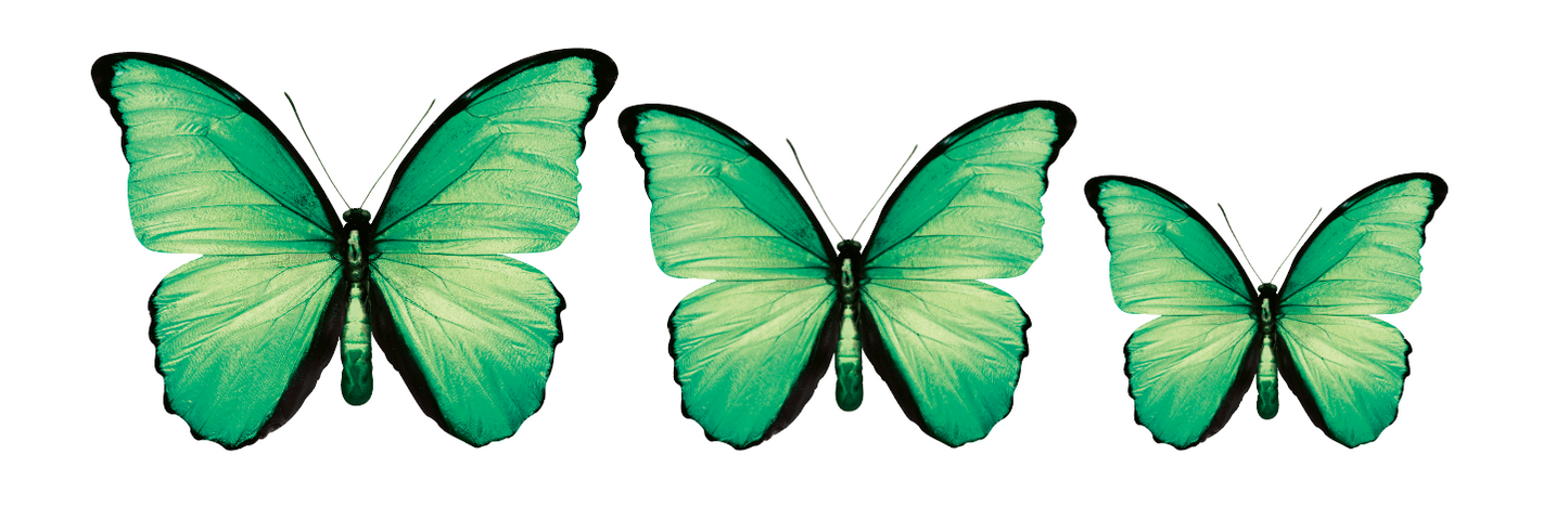 Acrylic Butterfly Garden Wall Art