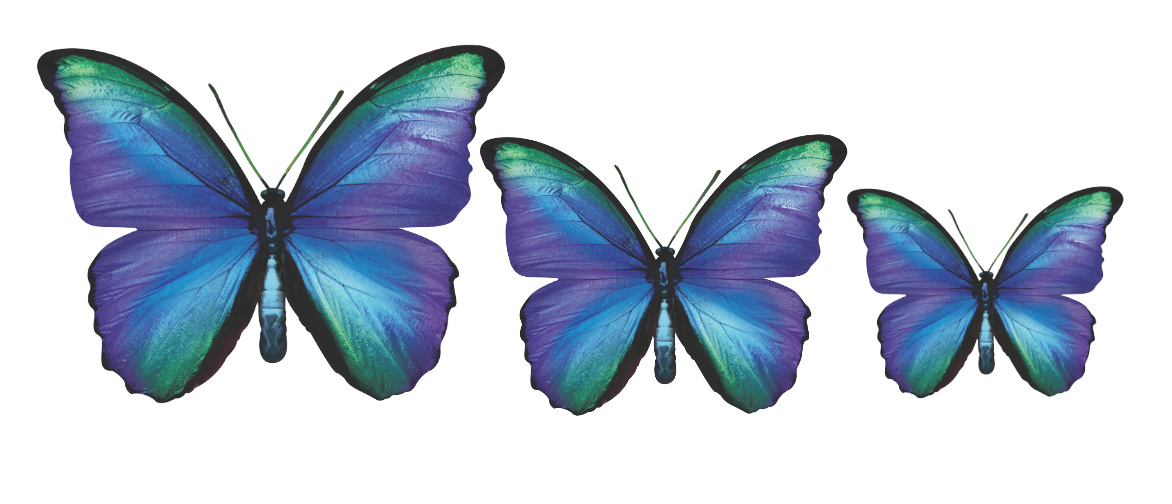 Acrylic Butterfly Garden Wall Art