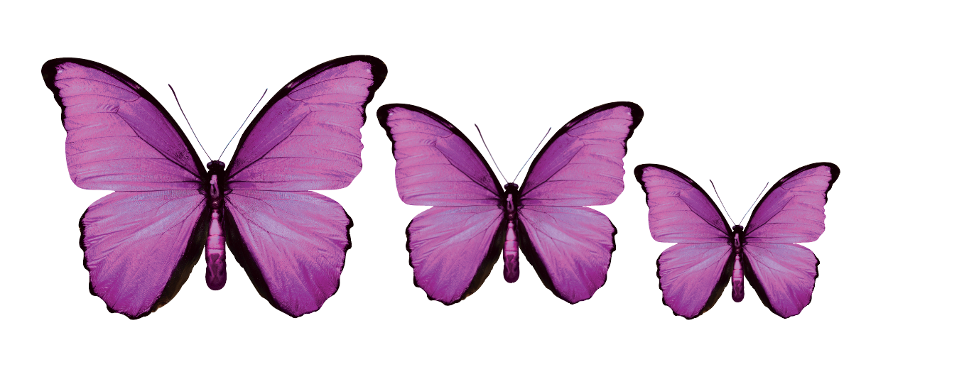 Acrylic Butterfly Garden Wall Art