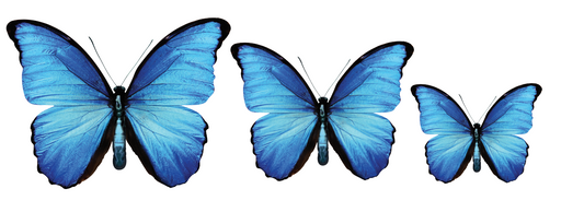 Acrylic Butterfly Garden Wall Art